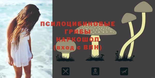 трава Балахна