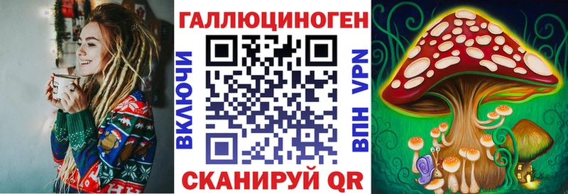 сколько стоит  Междуреченск  Псилоцибиновые грибы Psilocybine cubensis 